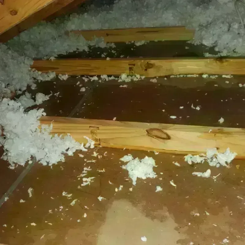 Attic Water Damage in Whitmore Village, HI